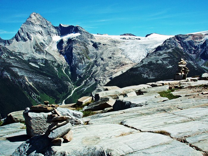 Illecillewaet Icefield, Abbott Ridge, Glacier National Park, British Columbia, Canada