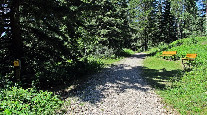 Amerada Trail, Crimson Lake Provincial Park, Rocky Mountain House, Alberta, Canada