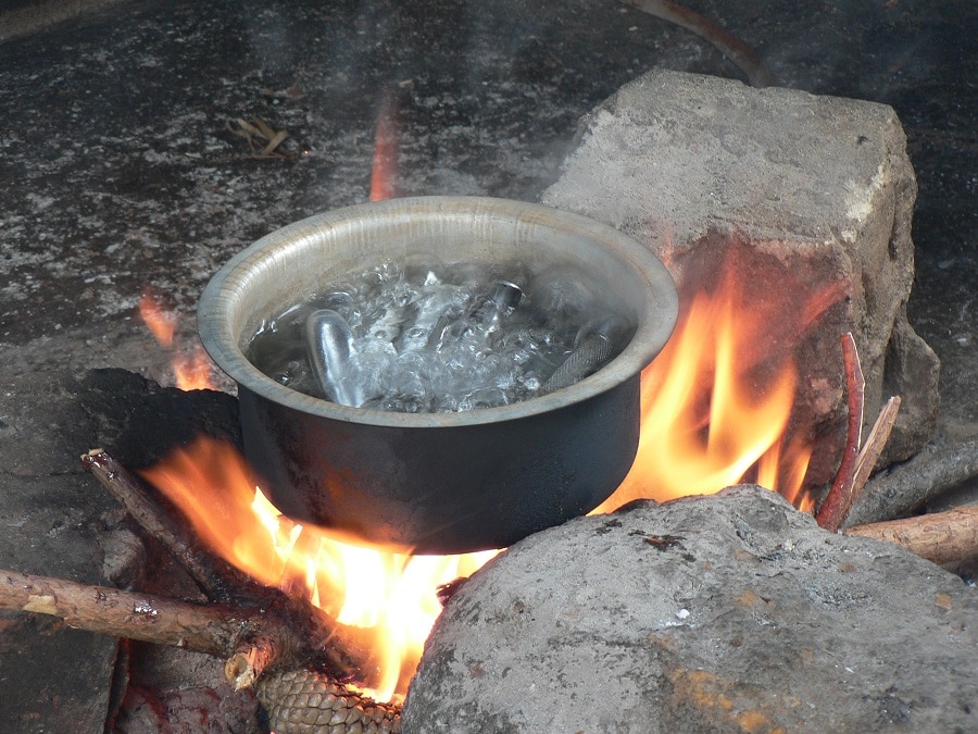 Boiling water kills microorganisms