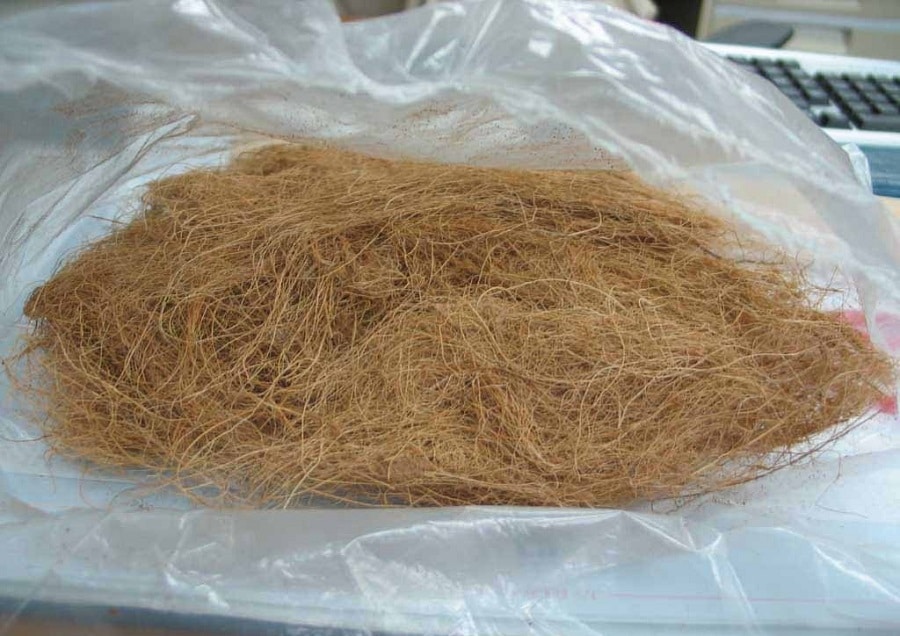 Coconut fibers