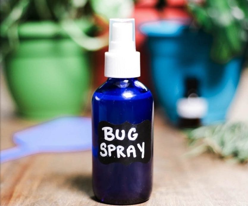 DIY bug spray