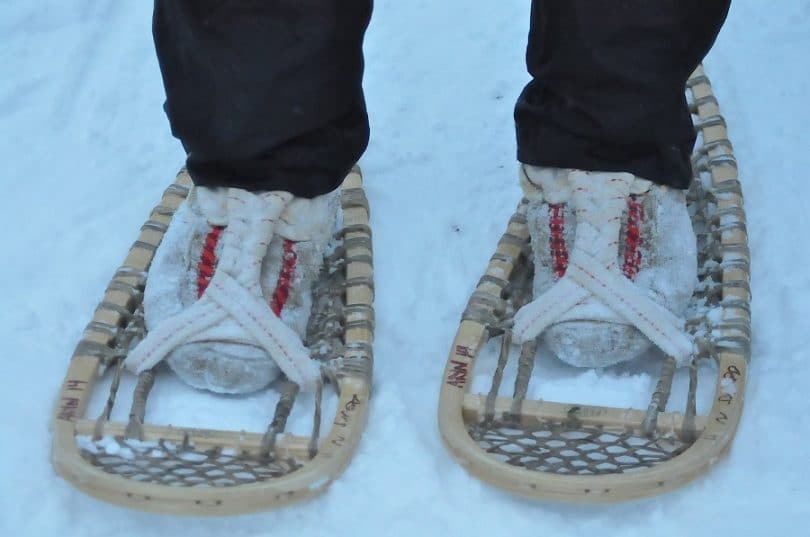 DIY snowshoes