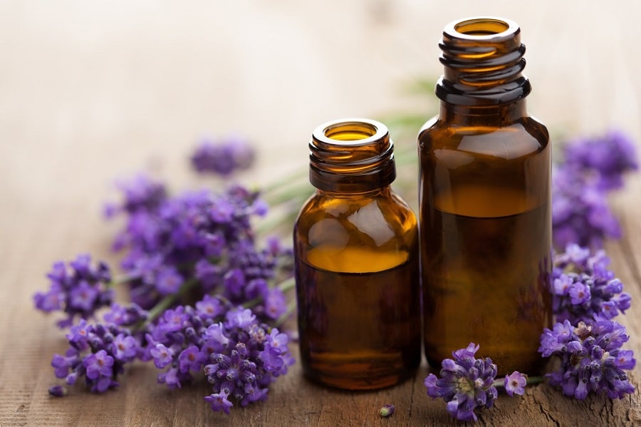Lavender for natural insect repellant