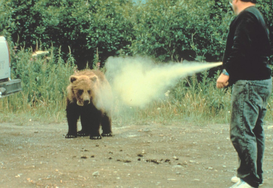 Pepper spray on bear