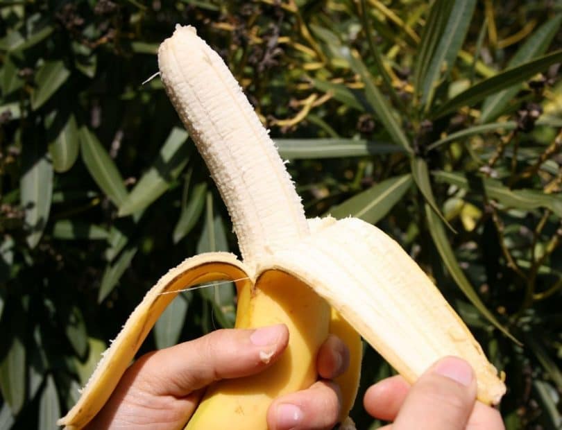 Making a water filter from Banana peel