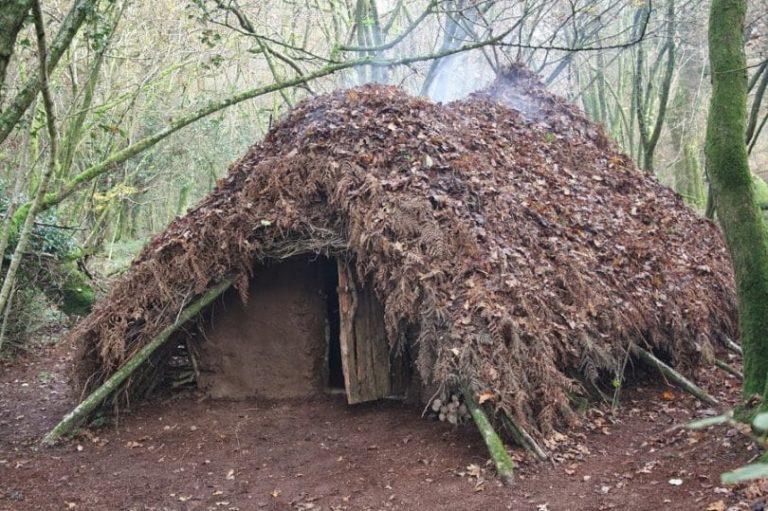 Building A Survival Shelter: You Don’t Have to Be Bear Grylls to Do It