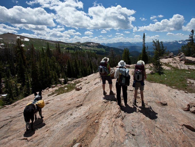 3 people carrying backpacks and a dog