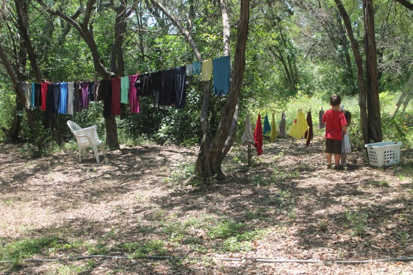 Drying clothes on trees