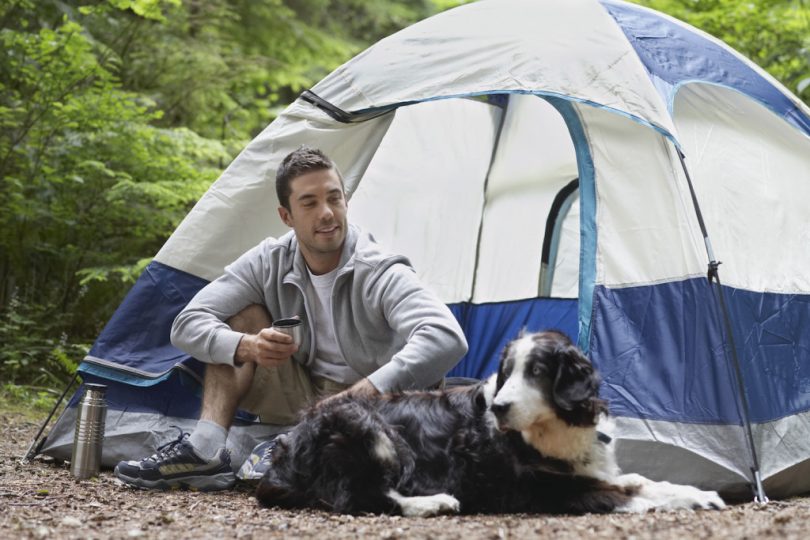 Man and his dog camping in the tent