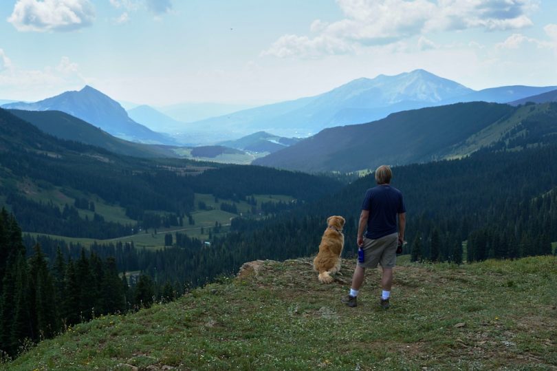 Man enjoying mountain view with his dog
