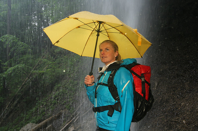 Woman hiker hiking in rain forest
