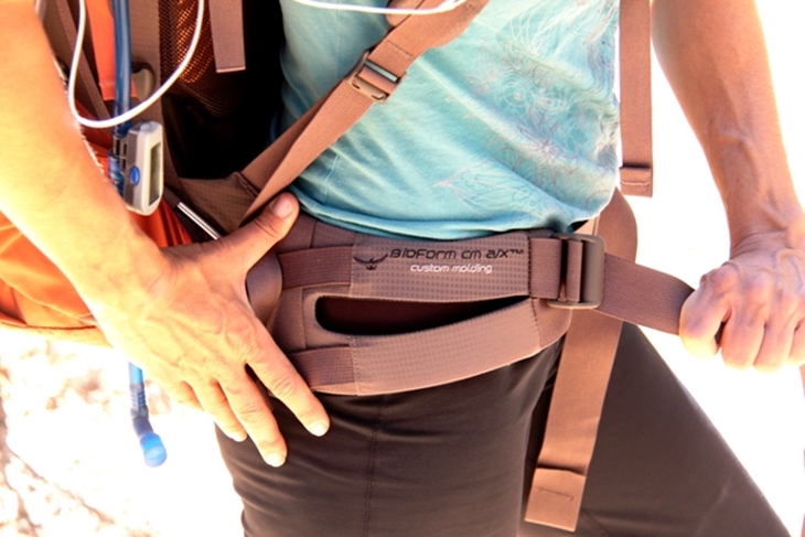 Backpack hip belt