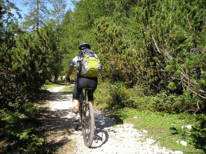 Male biker with bicycle at forest