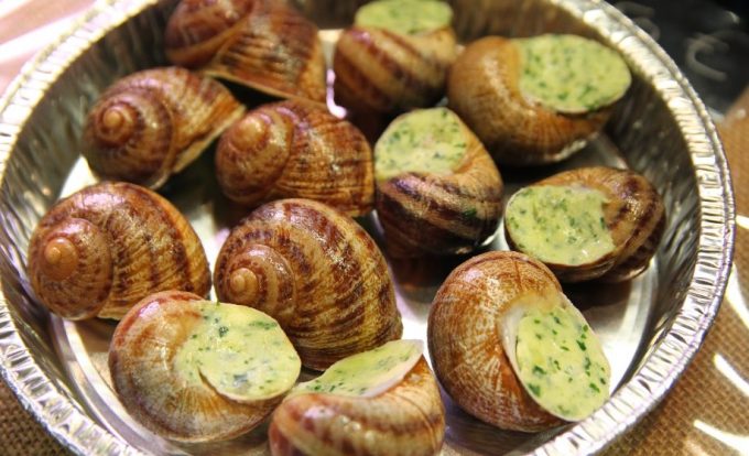snails for consumption