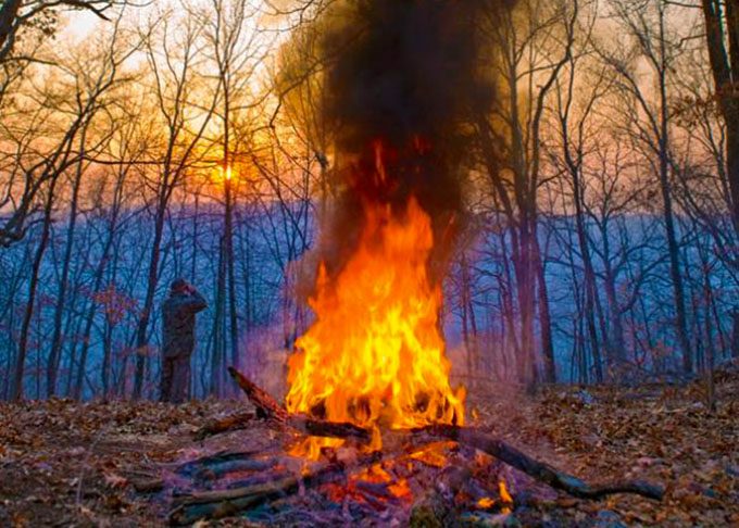 signal fire in the forest