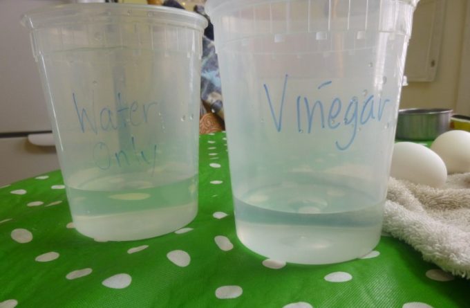 a cup of water and a cup of vinegar