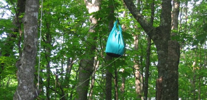 two trees bear bag method