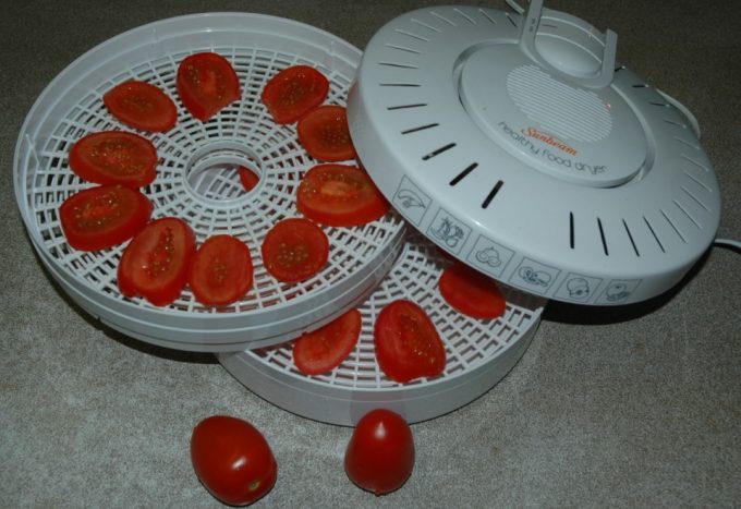 tomatoes in food dehydrator