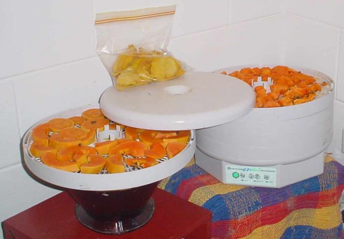 food dehydrator and dried fruit in ziploc