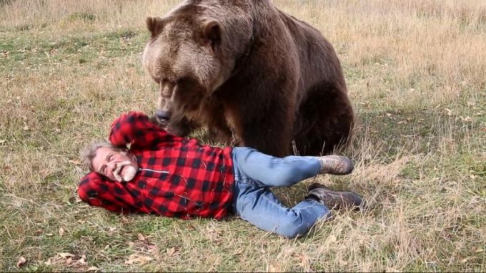 bear attacking man
