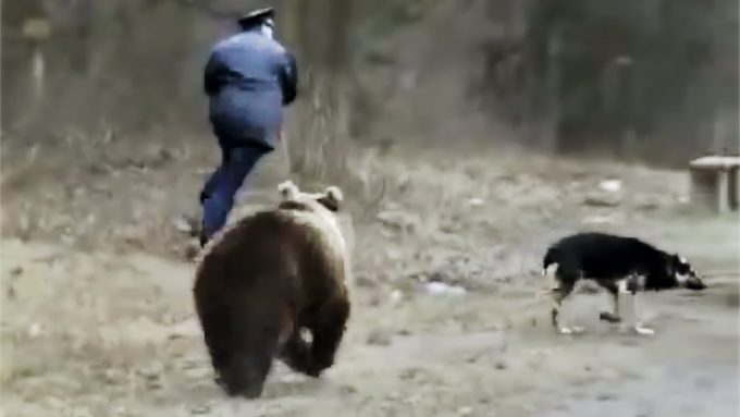 man running from bear